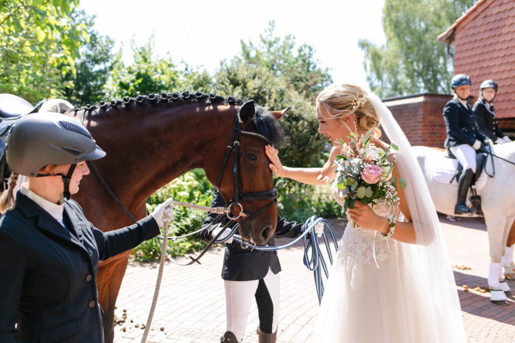 Hochzeit Empfang Pferd Überraschung